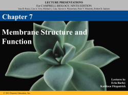 Chapter 7 Cell Membrane