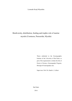 Biodiversity, distribution, feeding and trophic role of