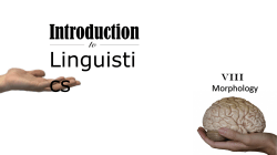 the regular inflected