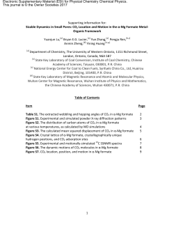 1 Supporting information for: Sizable Dynamics in Small Pores: CO2