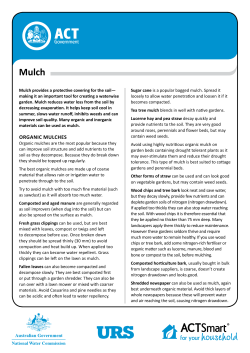 Mulch