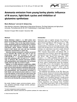 Ammonia emission from young barley plants