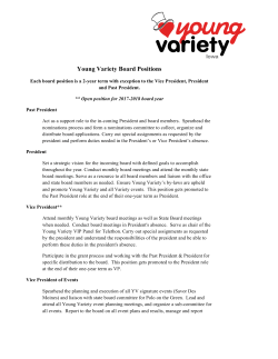 YV Board Position Descriptions 2017