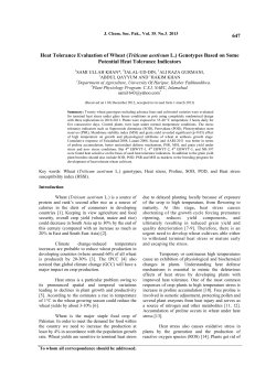Heat Tolerance Evaluation of Wheat (Triticum aestivum L