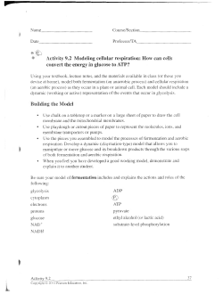 Activity 9.2 Modeling cellular respiration: How can cells convert the