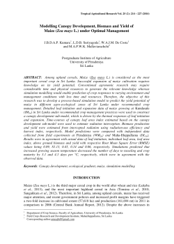 Modelling Canopy Development, Biomass and Yield of Maize (Zea