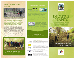 invasive plants - Tennessee State Parks