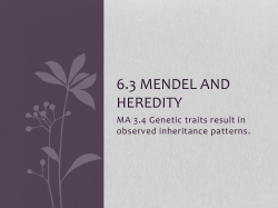 6.3 Mendel and heredity