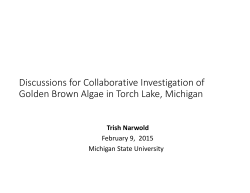 Discussions for Collaborative Investigation of Golden Brown Algae