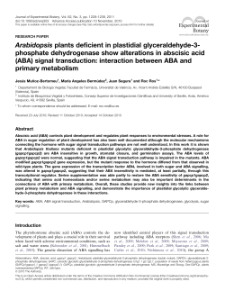Arabidopsis plants deficient in plastidial glyceraldehyde