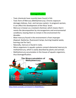2.1, 2.2 and 2.3 notes