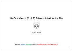 Nutfield Church (C of E) Primary School Action Plan