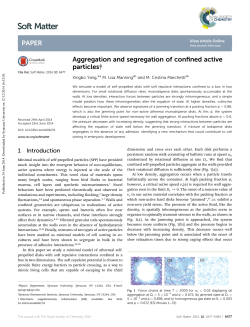 Aggregation and segregation of confined active particles