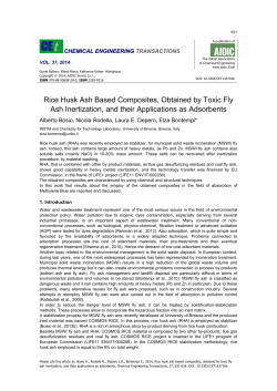 Rice Husk Ash Based Composites, Obtained by Toxic - cosmos-rice