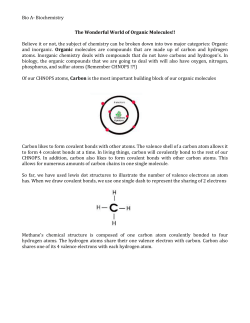 Bio A- Biochemistry The Wonderful World of Organic Molecules