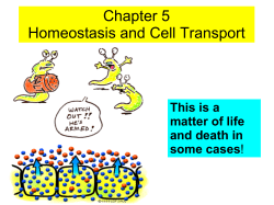 Chapter 5 Homeostasis and Cell Transport