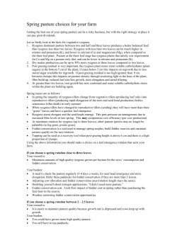 Spring pasture &ndash; a risky business