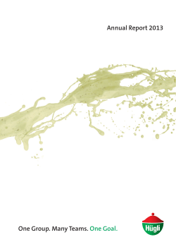 Annual Report 2013 One Group. Many Teams. One Goal.