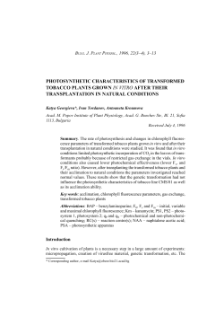 photosynthetic characteristics of transformed tobacco plants grown