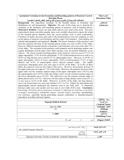Anatomical Variations in the Formation and Branching pattern of
