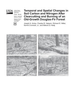 Temporal and Spatial Changes in Soil Carbon and Nitrogen After