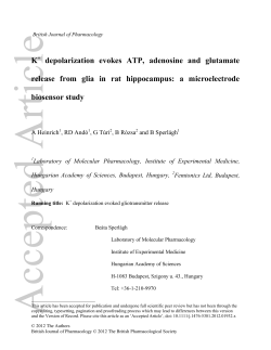K depolarization evokes ATP, adenosine and glutamate release
