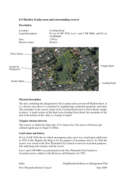 6.9 Hurdon St play area and surrounding reserve