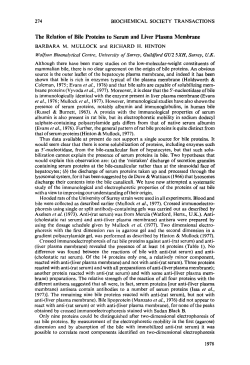 The Relation of Bile Proteins to Serum and Liver Plasma Membrane