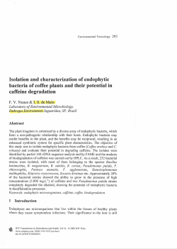 Isolation and characterization of endophytic bacteria of coffee plants