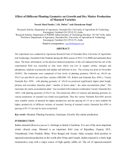Effect of Different Planting Geometry on Growth and Dry Matter