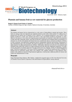 Plantain and banana fruit as raw material for glucose production
