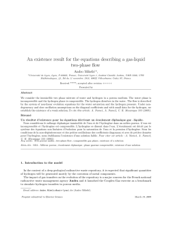 An existence result for the equations describing a