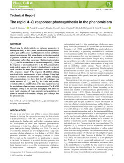 The rapid A&ndash;Ci response