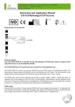 Fluorescen*n&iacute; in situ hybridizace (FISH)