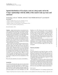 Spatial distribution of Eucalyptus roots in a deep sandy soil