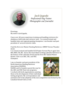 Jack Jagoda - advanced.dog, JackJagoda.net