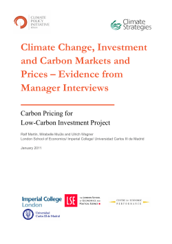 Climate Change, Investment and Carbon Markets and Prices