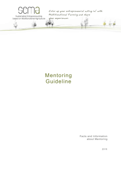 Mentoring Guideline