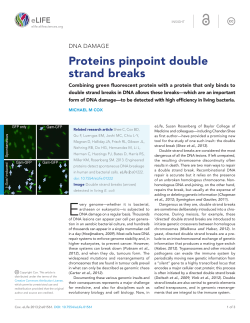 DNA Damage: Proteins pinpoint double strand breaks | eLife