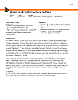 Structure and Function: Animals vs. Plants