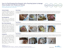 Use of a Fluid Pumping Strip Dresing with Pouching System