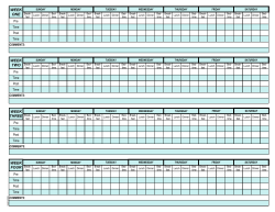 Glucose Monitoring Form