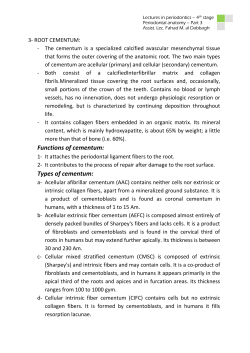Cementum Resorption and Repair