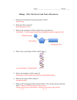 Honors Biology * The Race to Discover DNA