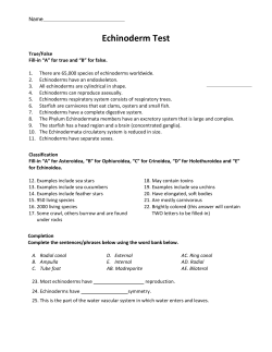 Echinoderm Test