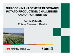 nitrogen management in organic potato production: challenges and