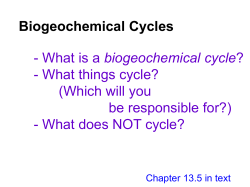 08 C cycles - share1