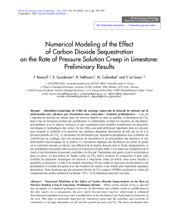 Numerical Modeling of the Effect of Carbon Dioxide Sequestration