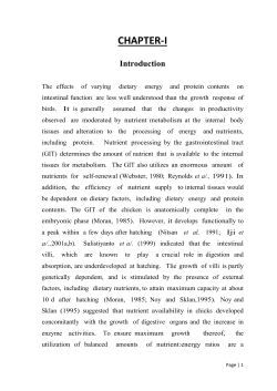 Amith`s production report