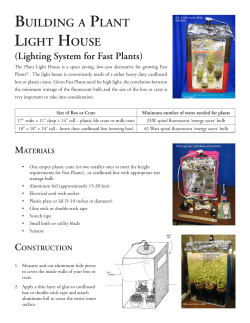 building a plant light house